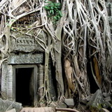 Angkor - Ta Phrom